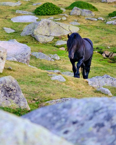 Reportatge per Fujifilm (Projecte SOOC amb la Fujifilm X-S10), realizat als Pirineus (Girona)