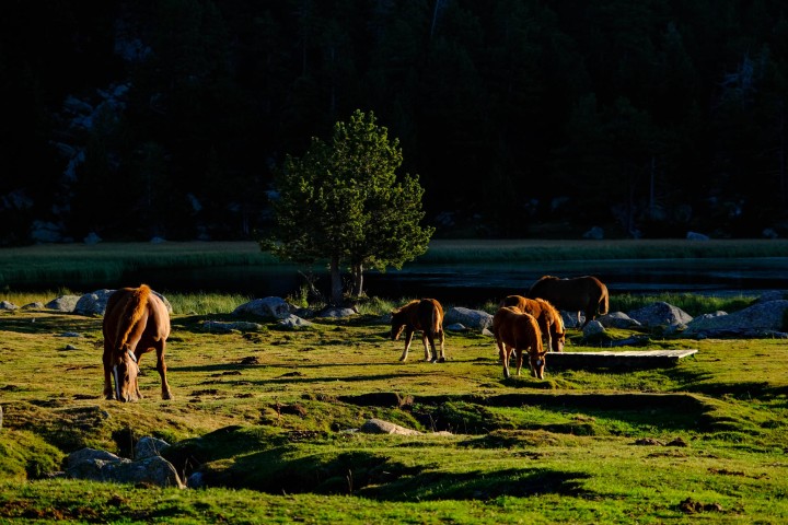 Reportatge per Fujifilm (Projecte SOOC amb la Fujifilm X-S10), realizat als Pirineus (Girona)