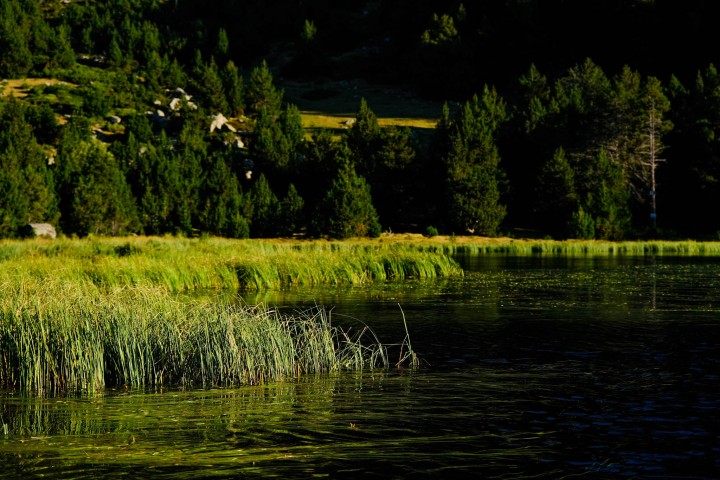 Reportatge per Fujifilm (Projecte SOOC amb la Fujifilm X-S10), realizat als Pirineus (Girona)