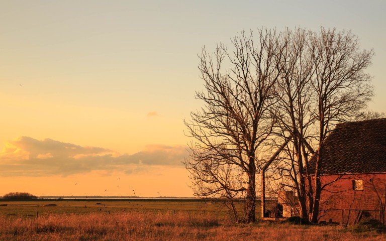 Reportatge fotogràfic per Le Boat a Holanda